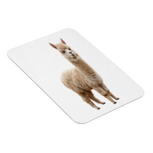 Cute Realista y Esponjosa Foto de Alpaca Imán Flex