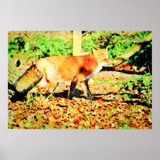 Cute Red Fox Watercolor Pintando Arte de Vida Silv (Frente)