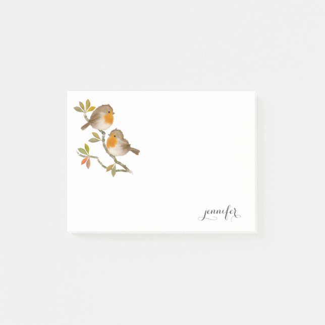 Cute Robin Birds publica su nota (Anverso)
