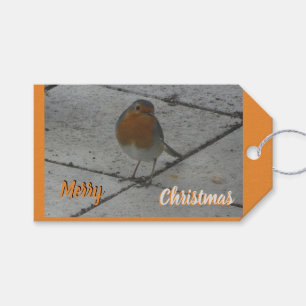 Cute Robin Cust. Etiqueta de regalo de texto