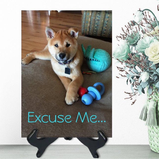 Cute Shiba Inu con plantilla de fotos de juguetes (Subido por el creador)