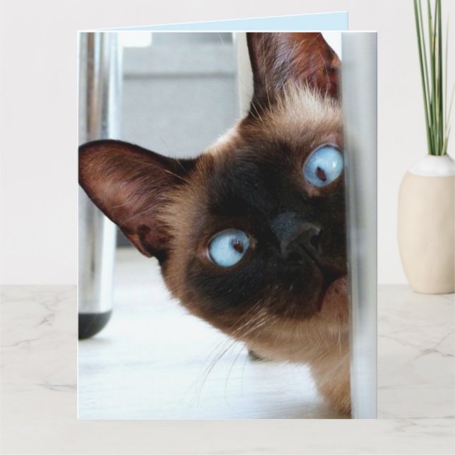 CUTE SIAMÉS CAT PEEKING IN HELLO TARJETA DE FELICI (Anverso)