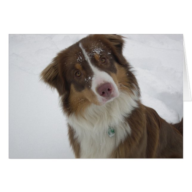 Cute Snow Dog (Anverso (Horizontal))