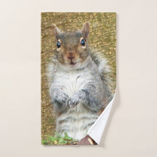 Cute Squirrel (Toalla de mano)