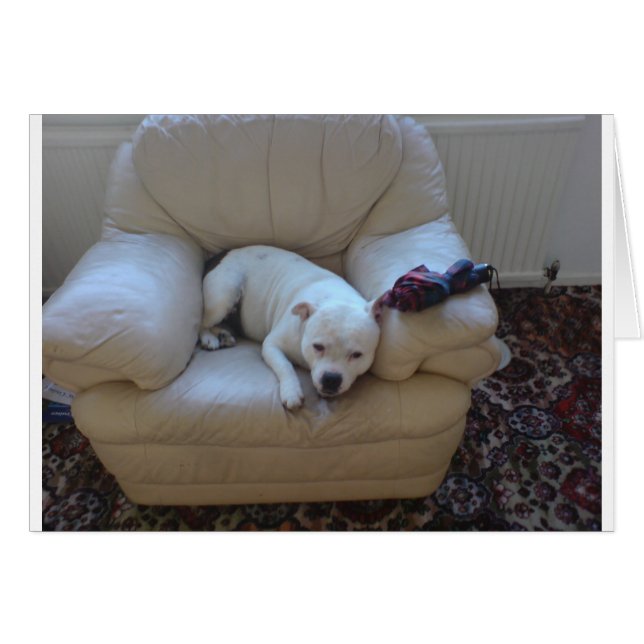 Cute staff (Anverso (Horizontal))