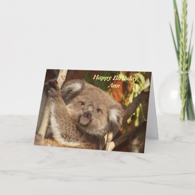 Cute tarjeta de cumpleaños con fotos de Koala (Anverso)