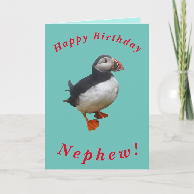 Cute tarjeta de cumpleaños de Puffin para el sobri (Anverso)
