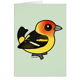 Cute Western Tanager