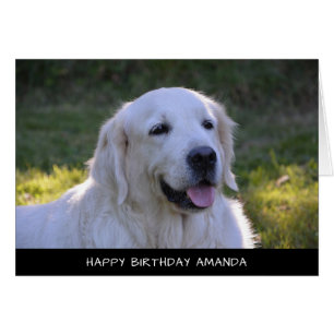 Cute White Labrador Dog Birday Card