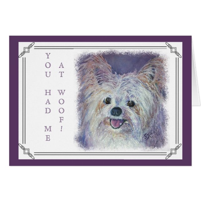 CUTE WHITE YORKIE MIX (Anverso (Horizontal))