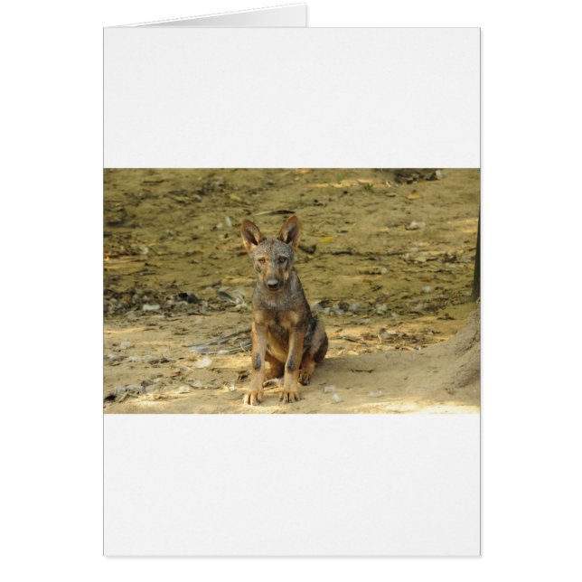 Cute Wolf Cub (Frente)