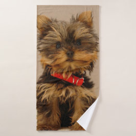 Cute Yorkshire Terrier