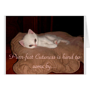 Cuteness de Purrfect
