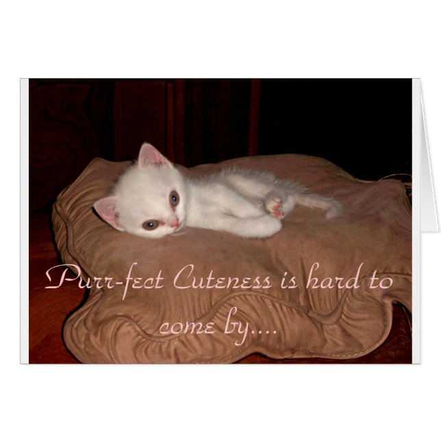 Cuteness de Purrfect (Anverso (Horizontal))