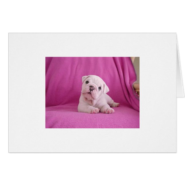 ¡Cutie-Pie! (Anverso (Horizontal))
