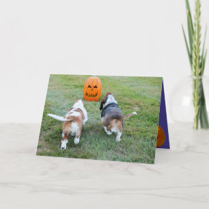 Cuto Basset tiene límites en divertida tarjeta de 