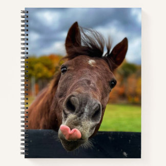 Cuto cuaderno de espiral de caballo