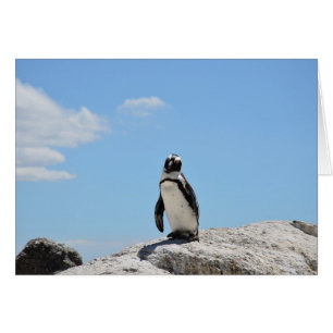 Cuto pingüino con tarjeta táctil en blanco