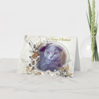 Cutten kitten Tarjeta de Navidad