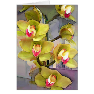 Cymbidiums chartreuses