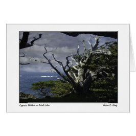Cypress Skeleton en Point Lobos