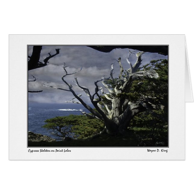 Cypress Skeleton en Point Lobos (Anverso (Horizontal))