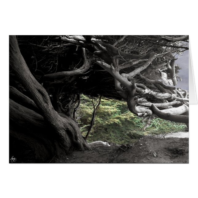 Cypress Skeleton - tarjeta (Anverso (Horizontal))