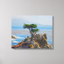 Cypress solitario, Monterey, impresión de lienzo e