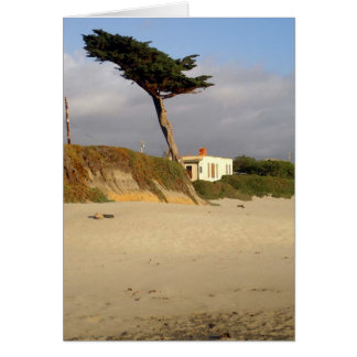 Cypress y la casa de Windblown