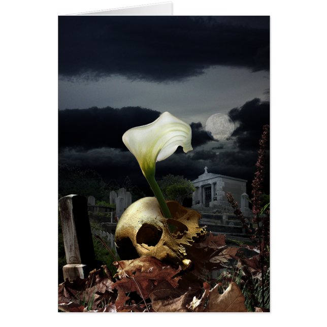 Cyrcle de la vida (Frente)