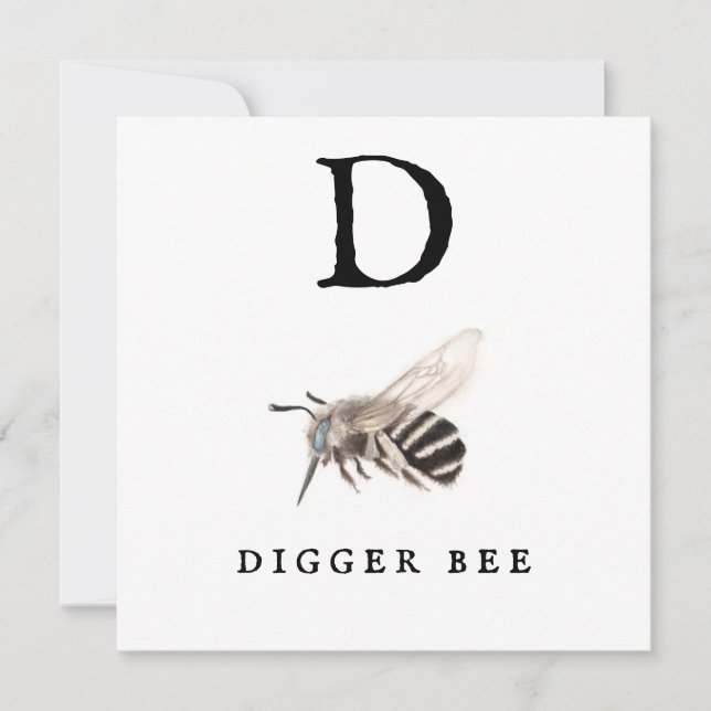 "D" Digger Bee (Anverso)