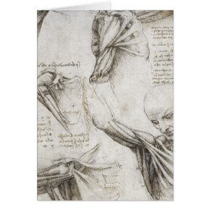 Da Vinci, Leonardo - estudio de la anatomía