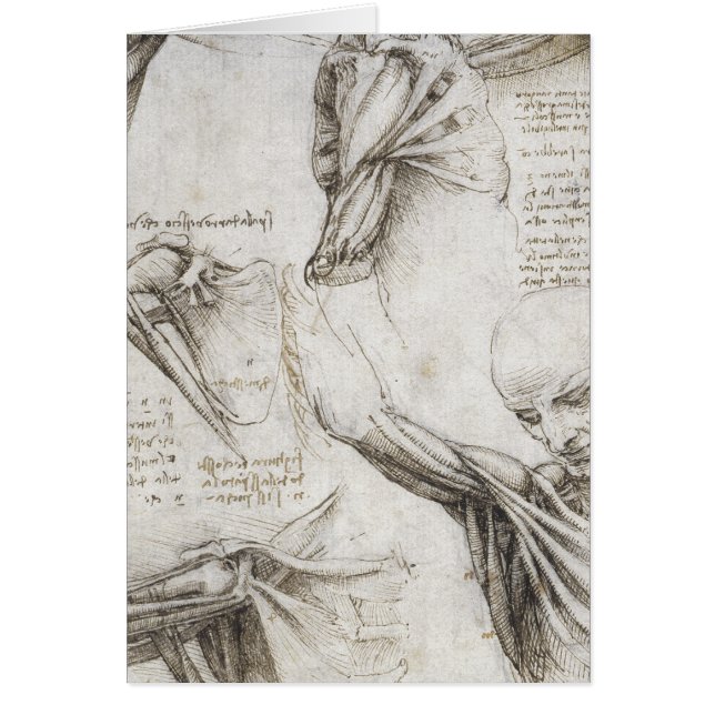 Da Vinci, Leonardo - estudio de la anatomía (Frente)