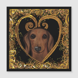 DACHSHUND