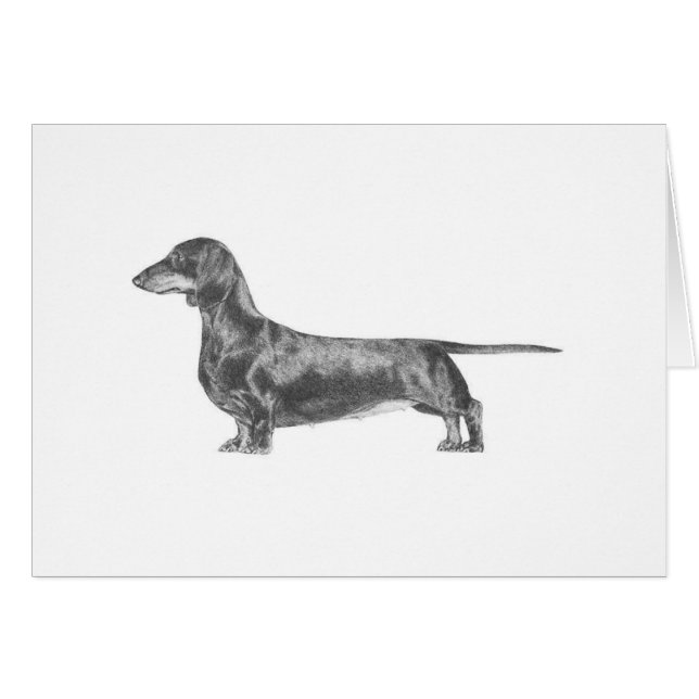Dachshund (Anverso (Horizontal))