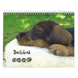 ¡Dachshund 2009 - calendario adaptable!