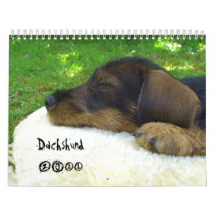 ¡Dachshund 2011 - calendario adaptable!