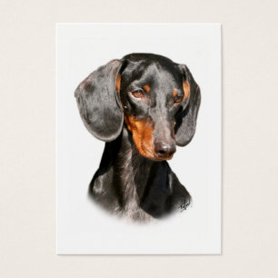 Dachshund 9Y420D-096a