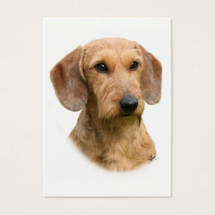 Dachshund 9Y426D-207-2