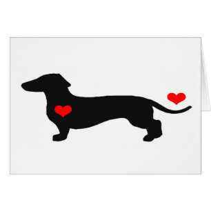 Dachshund Amor con corazones