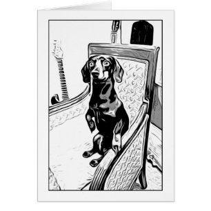 dachshund apropiado