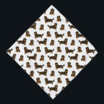 Dachshund Bandana de cabello largo<br><div class="desc">Este diseño tiene adorables dachshunds de pelo largo. Personalizar este diseño seleccionando un color de fondo de su elección.</div>