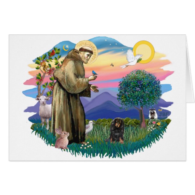 Dachshund (bronceado negro de pelo largo) (Anverso (Horizontal))