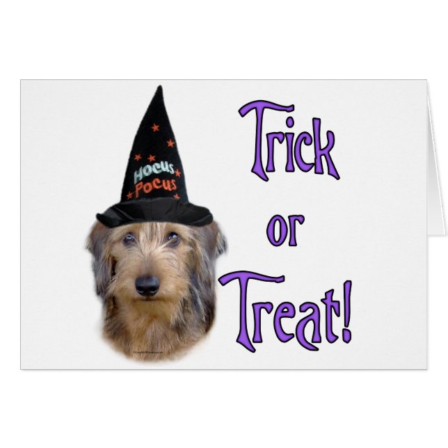 Dachshund (cable) Trick (Anverso (Horizontal))