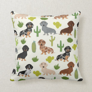 Dachshund cactus tiró almohada adorables perros d