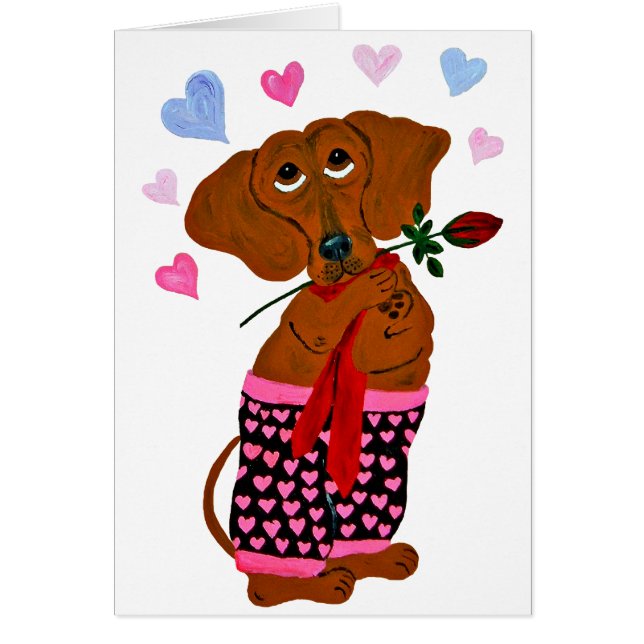Dachshund con pantalones cortos de corazón rosa (Frente)
