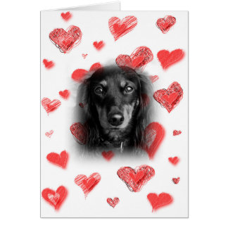 Dachshund con tarjeta de corazón rojo