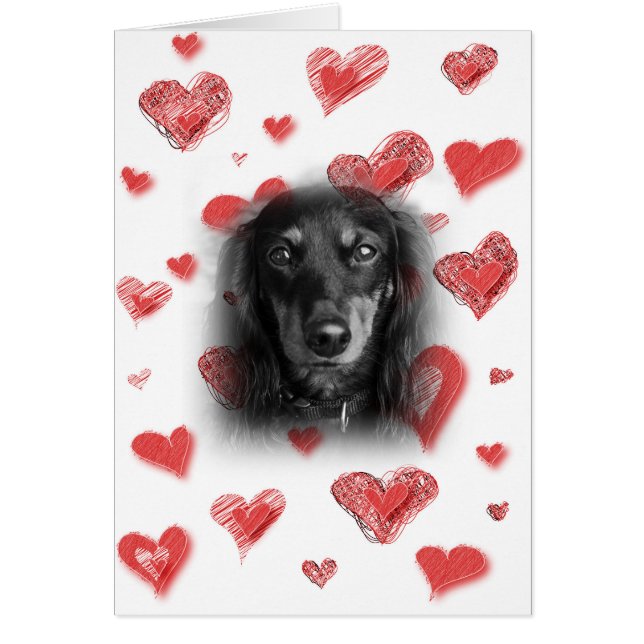 Dachshund con tarjeta de corazón rojo (Frente)