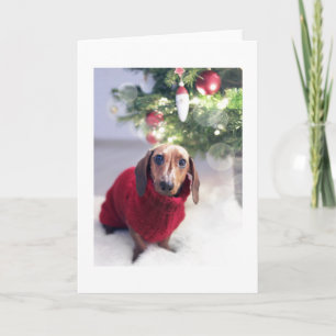 Dachshund con tarjeta de Navidades de árbol de Nav