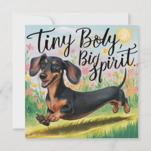 Dachshund Cuerpo Pequeño, Gran Espíritu